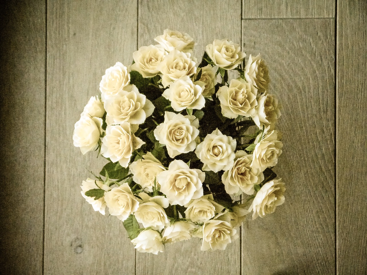 صور بوكيه ورد أبيض – أجمل صور بوكيهات “باقات” الورد الأبيض
