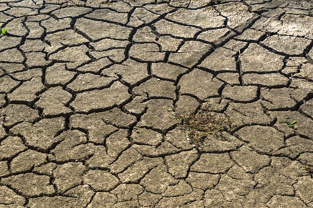 التربة الطينية – خصائصها و تكوينها بالصور