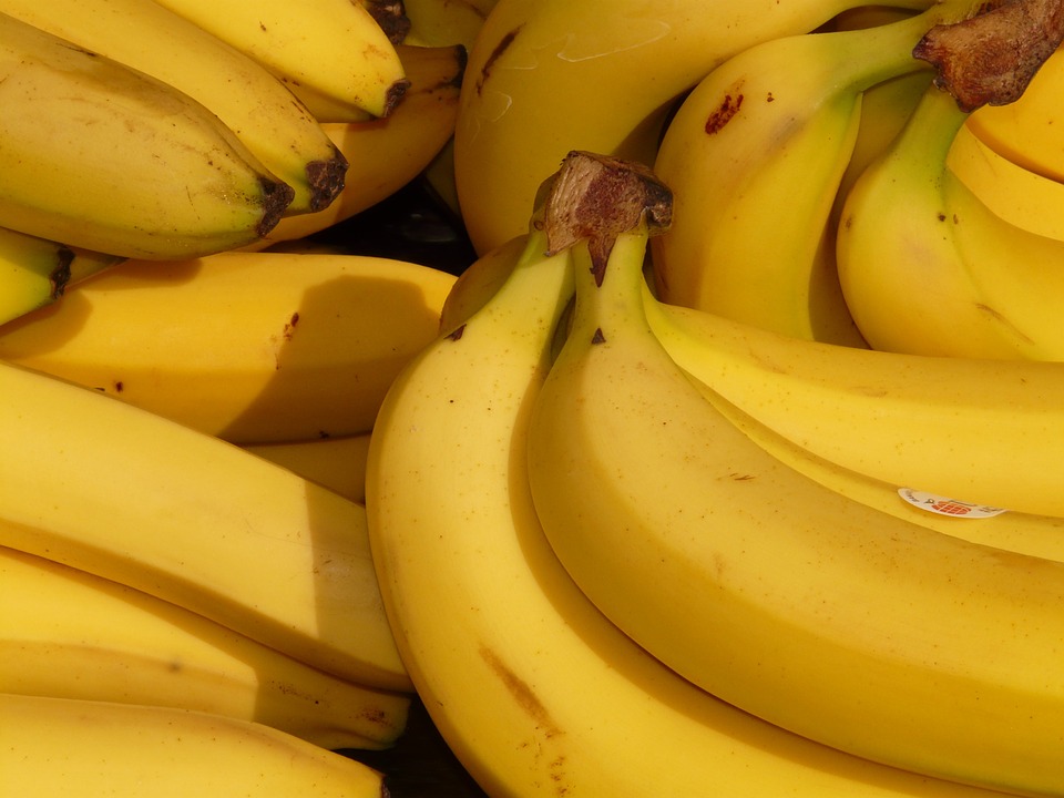 يعد ثمار الموز قبل النضج