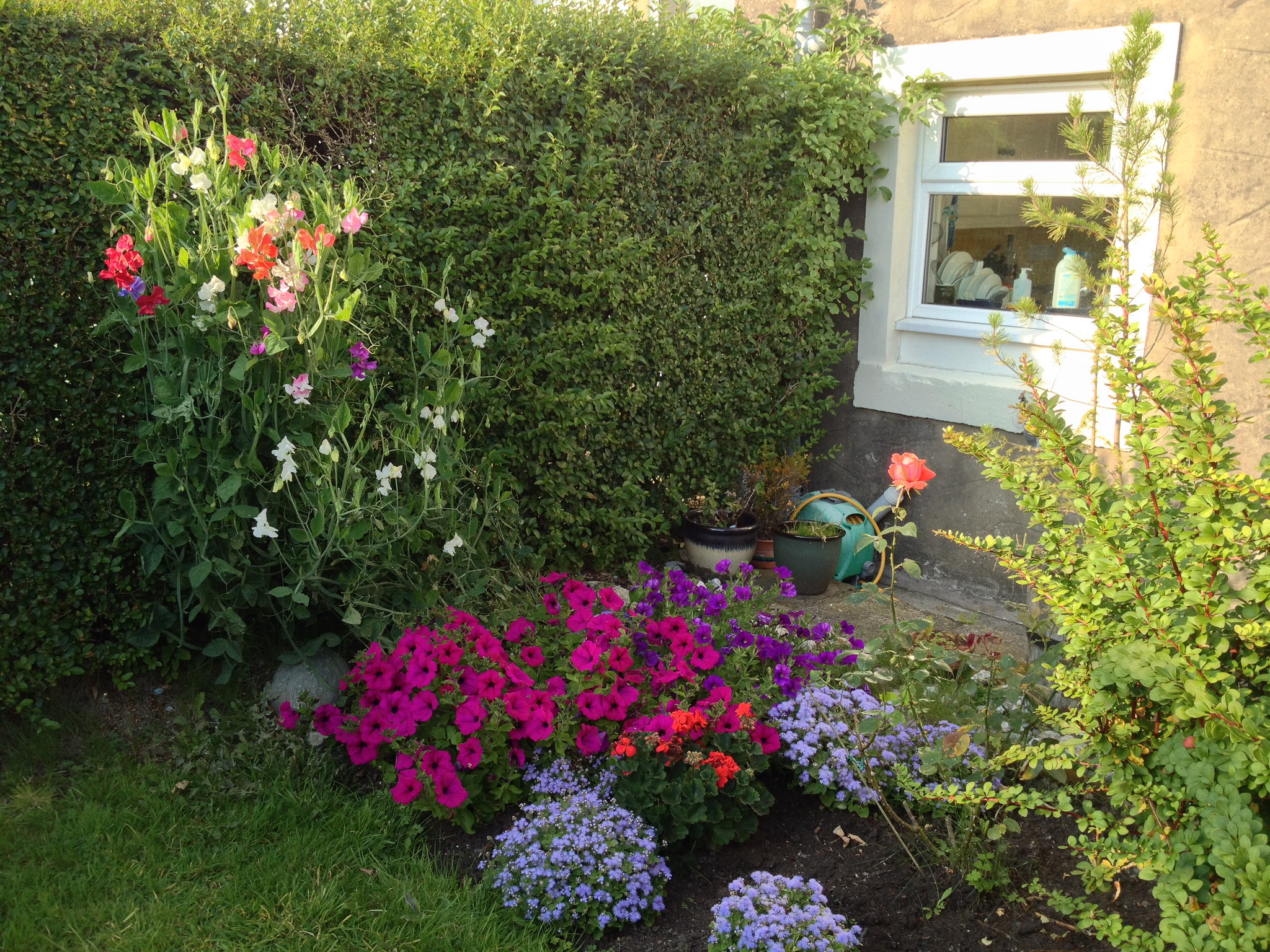 الحدائق المنزلية – كيف تقوم بعمل حديقتك الخاصة وبكل بساطة