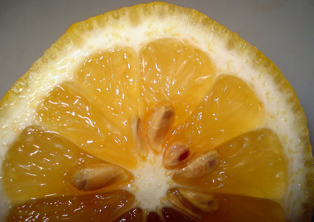 كيفية زراعة الليمون بالبذور