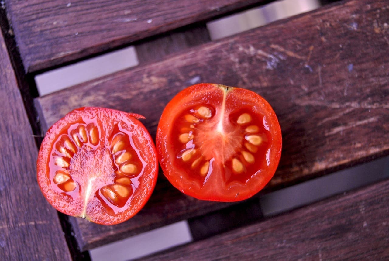 زراعة الطماطم: بالبذور