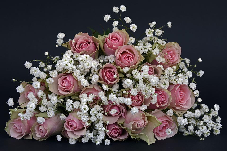 ورد الزفاف: أفضل الورود ومعلومات شيقة بالصور