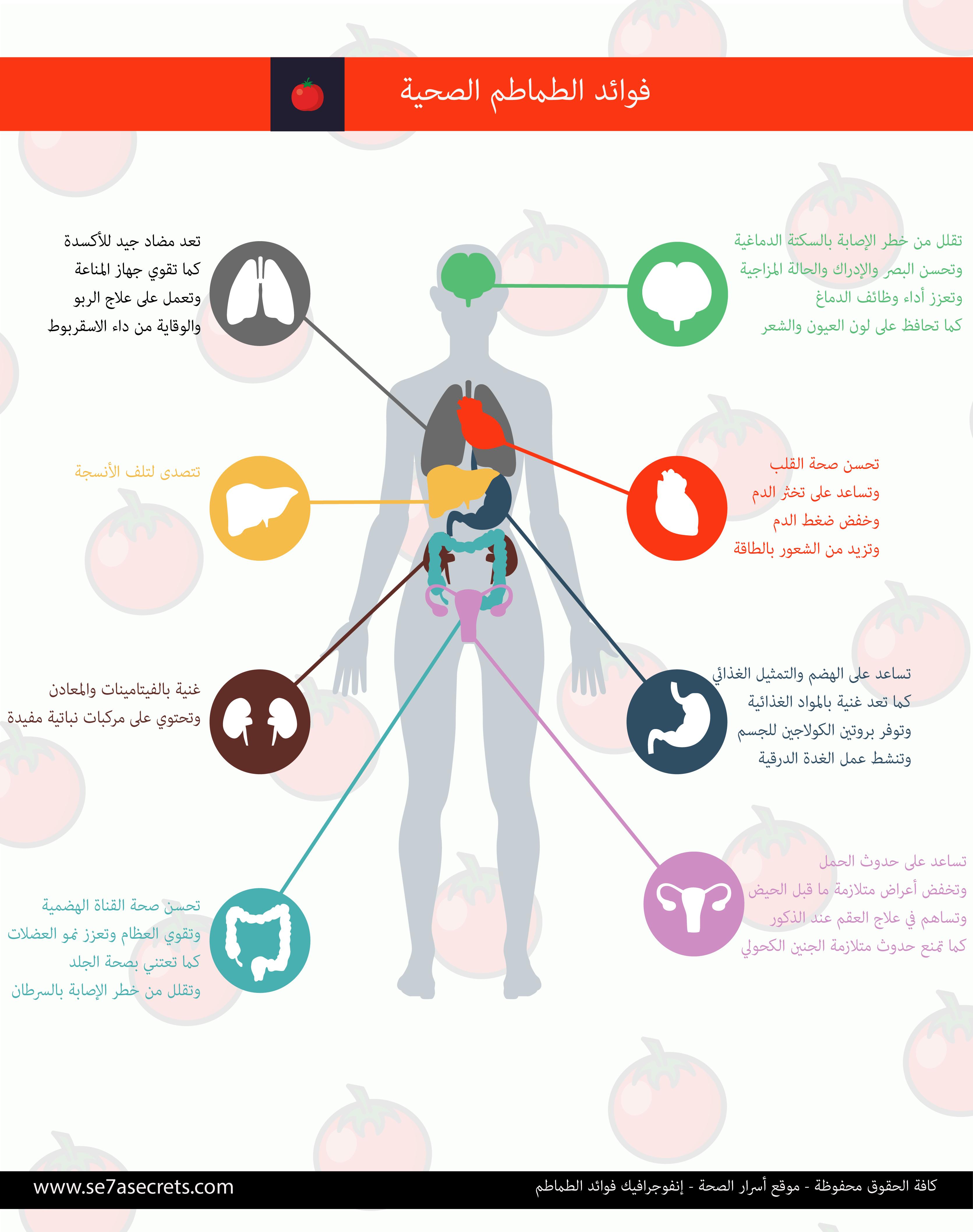 فوائد الطماطم - إنفوجرافيك